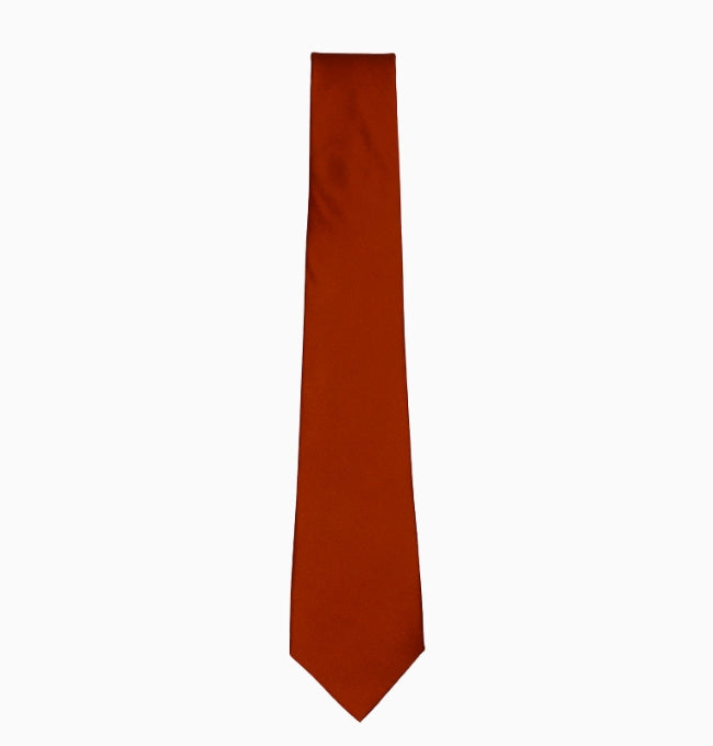 Cravate Marron Cannelle Homme en Polyester