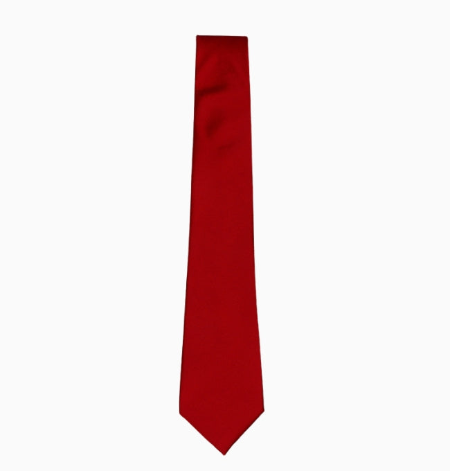Cravate Rouge Passion Homme en Polyester