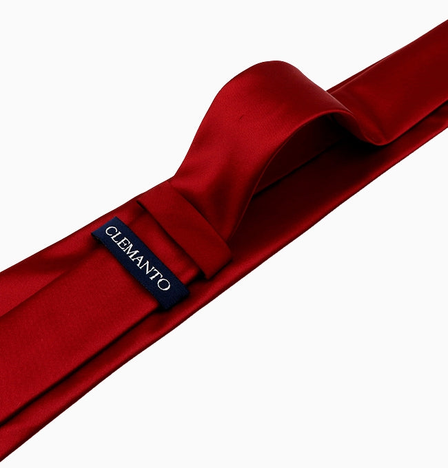 Cravate Rouge Passion Homme en Polyester