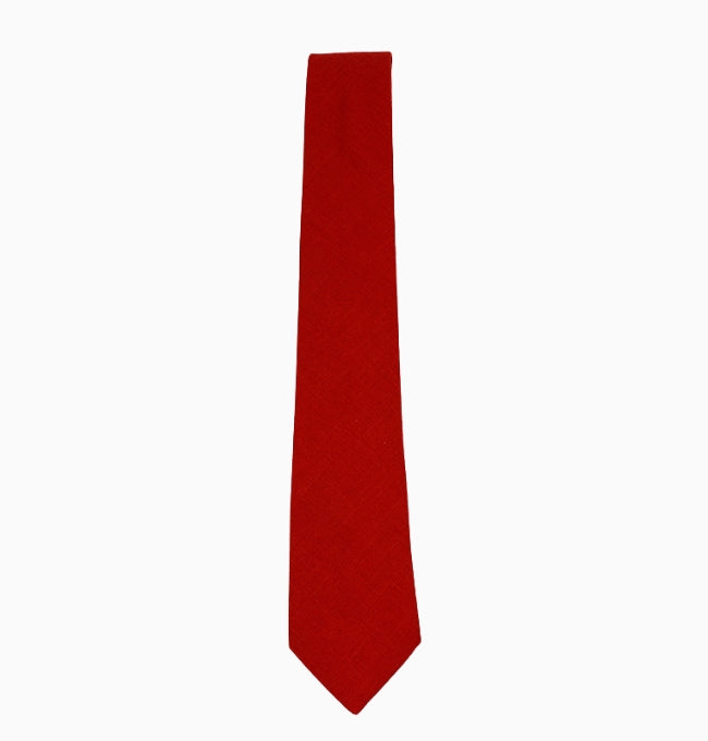 Cravate Terracotta Brûlé Homme en Coton