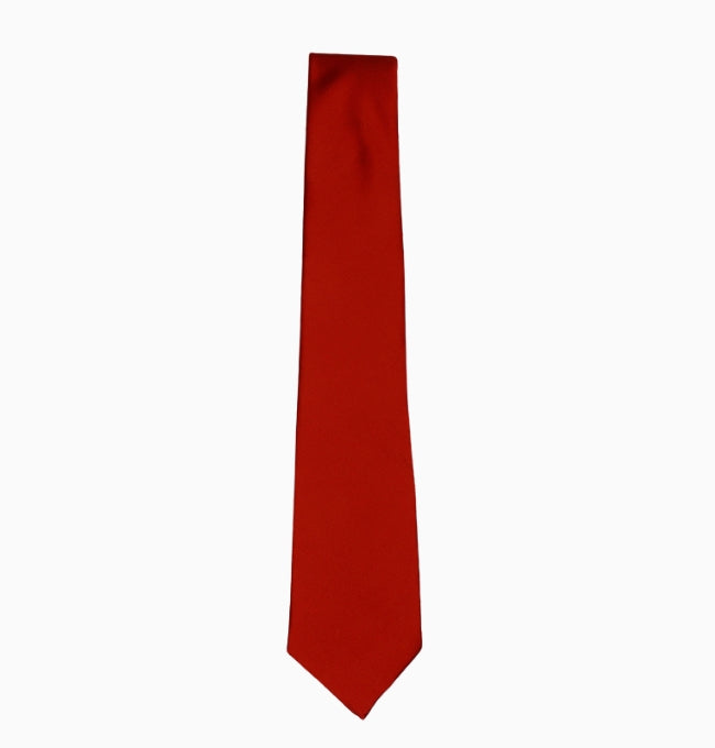 Cravate Terracotta Brun Homme en Polyester