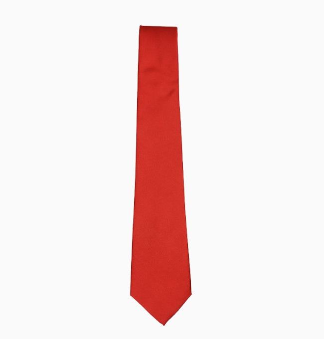 Cravate Terracotta Cuivré Homme en Polyester