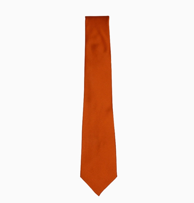 Cravate Terracotta Foncé Homme en Polyester