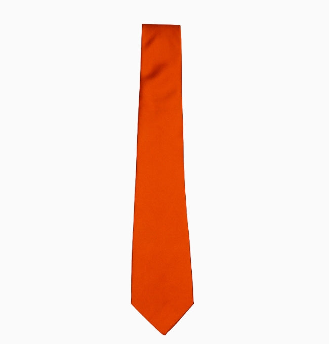 Cravate Terracotta Profond Homme en Polyester