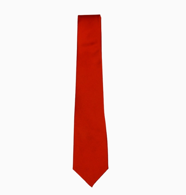 Cravate Terracotta Terre Homme en Polyester