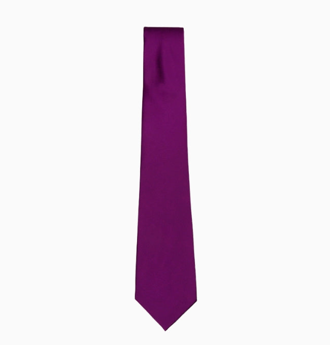 Cravate Violet Homme en Polyester