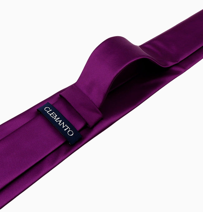 Cravate Violet Homme en Polyester