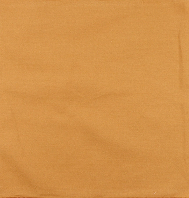 Motif Marron Noisette en Coton Côtelé