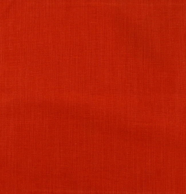 Motif Terracotta Clair en Coton