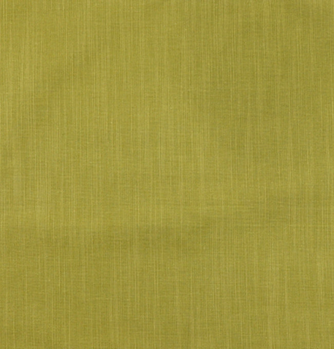 Motif Vert Olive en Coton
