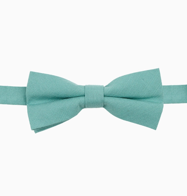 Noeud Papillon Bleu Canard Homme en Coton