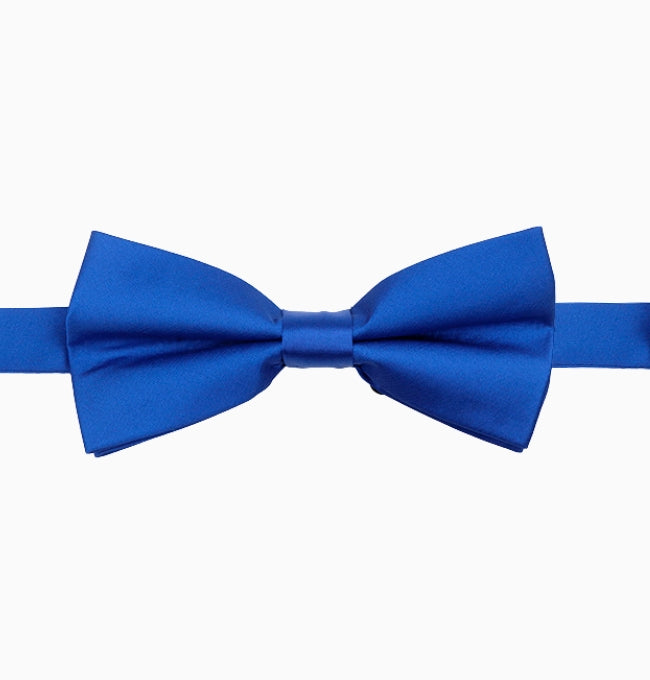 Noeud Papillon Bleu Homme en Polyester