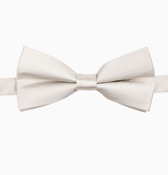 Noeud Papillon Gris Ivoire Homme en Polyester
