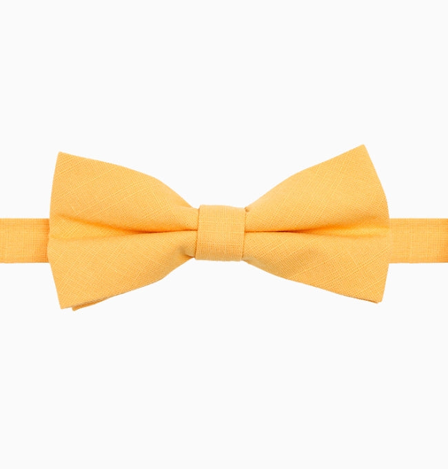 Noeud Papillon Jaune Homme en Coton