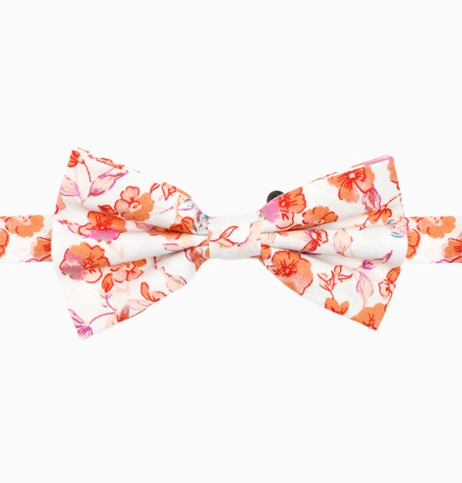 Noeud Papillon Liberty Rouge Dahlia Homme en Coton