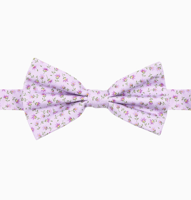 noeud-papillon-liberty-violet-lavande-homme-coton