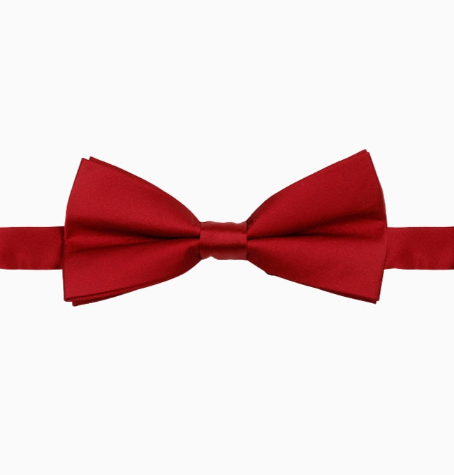 Noeud Papillon Rouge Passion Homme en Polyester