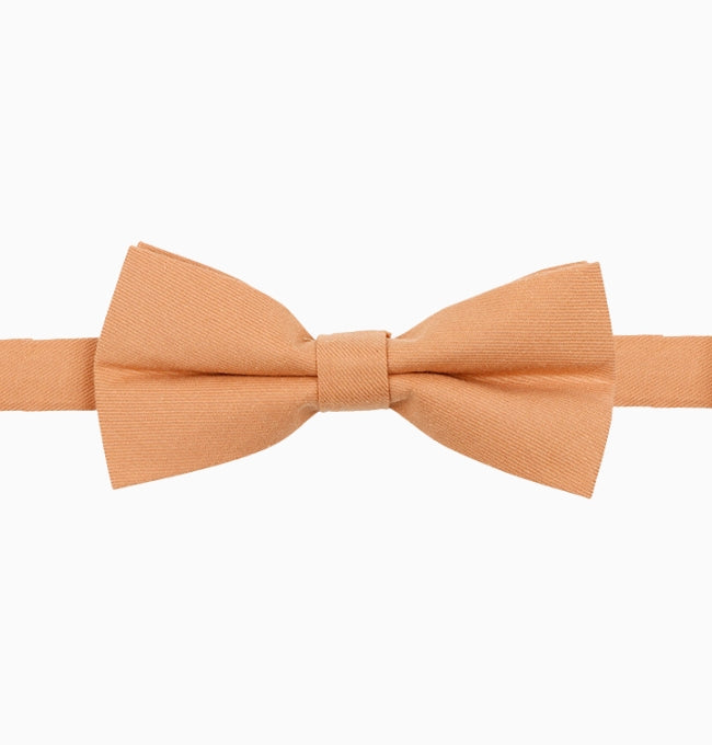 Noeud Papillon Terracotta Argile Homme en Coton Côtelé