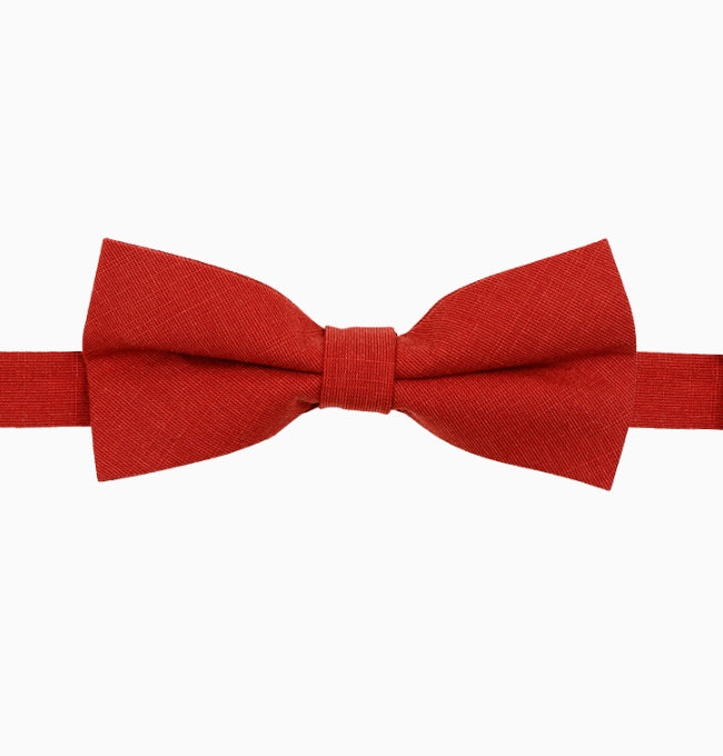 Noeud Papillon Terracotta Brûlé Homme en Coton