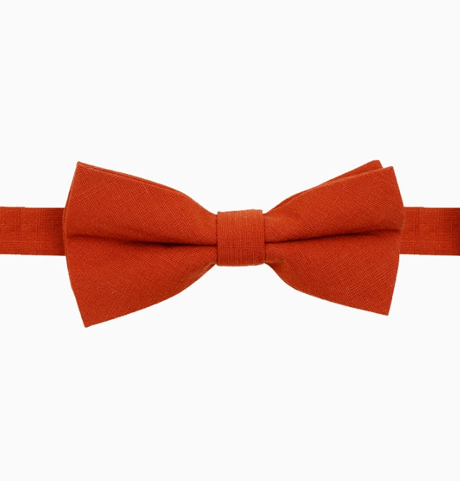 Noeud Papillon Terracotta Homme en Coton