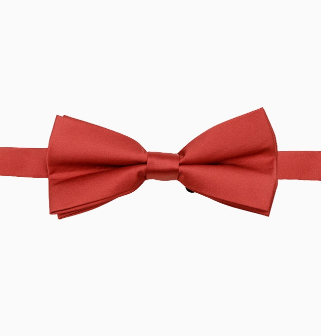 Noeud Papillon Terracotta Cuivré Homme en Polyester