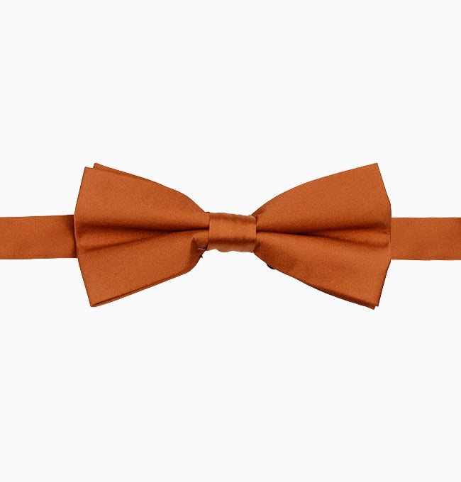Noeud Papillon Terracotta Foncé Homme en Polyester