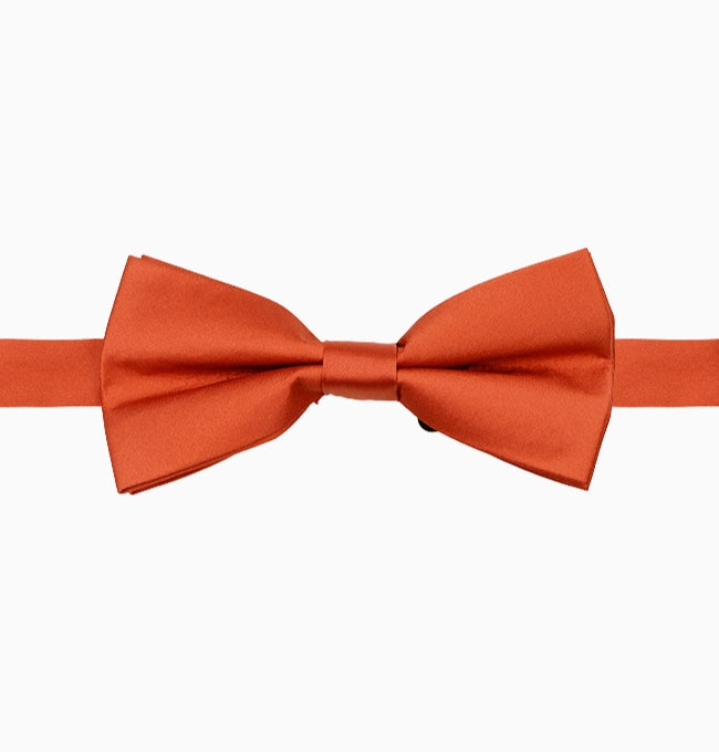 Noeud Papillon Terracotta Homme en Polyester