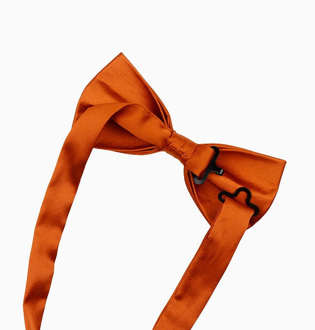 Noeud Papillon Terracotta Profond Homme en Polyester