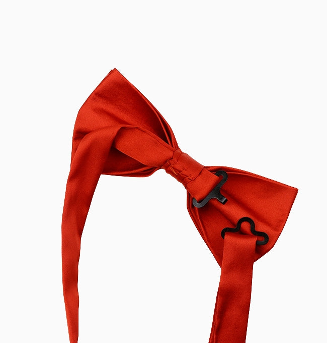Noeud Papillon Terracotta Sienne Homme en Polyester