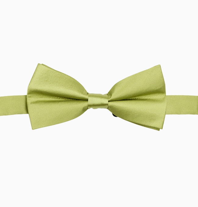 Noeud Papillon Vert Homme en Polyester