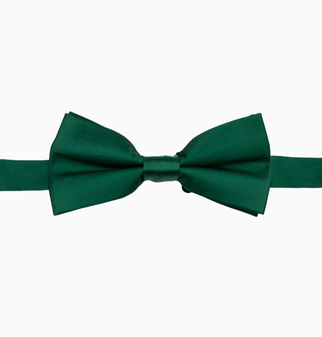 Noeud Papillon Vert Sapin Homme en Polyester