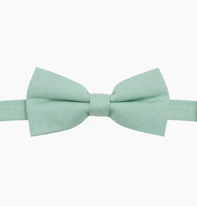 Noeud Papillon Vert Sauge Homme en Coton