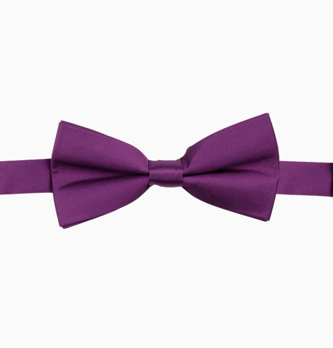 Noeud Papillon Violet Aubergine Homme en Polyester