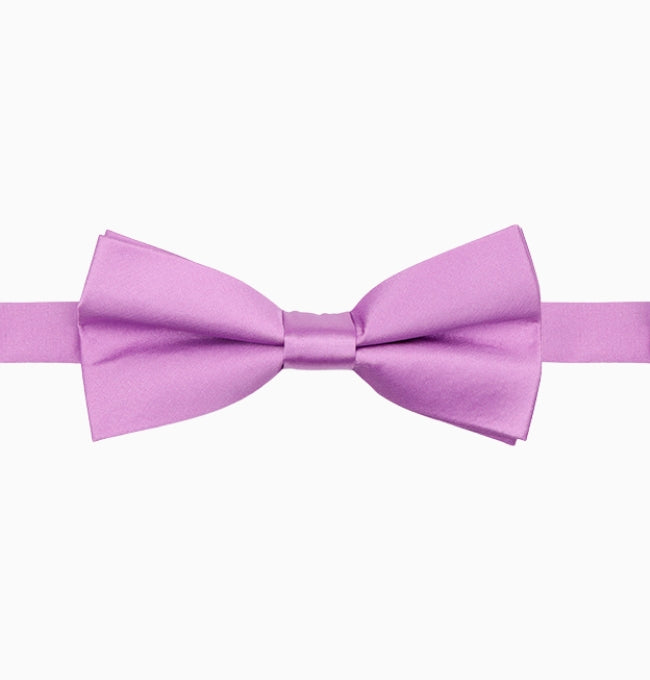Noeud Papillon Violet Homme en Polyester
