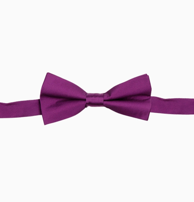 Noeud Papillon Violet Prune Enfant en Polyester
