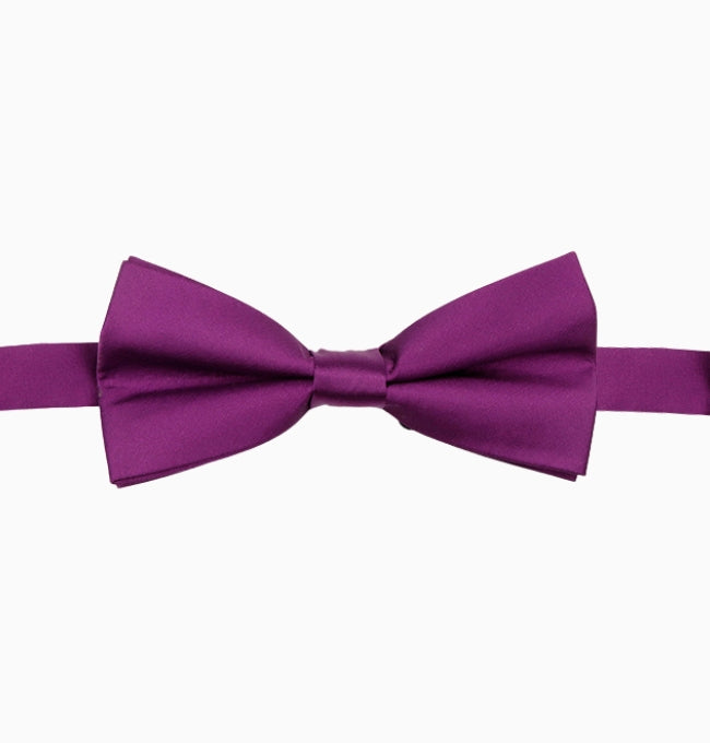 Noeud Papillon Violet Prune Homme en Polyester