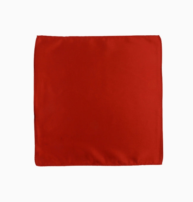 Pochette de Costume Terracotta Brun en Polyester