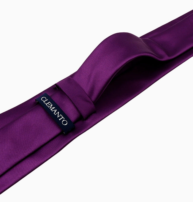Cravate Violet Aubergine Homme en Polyester