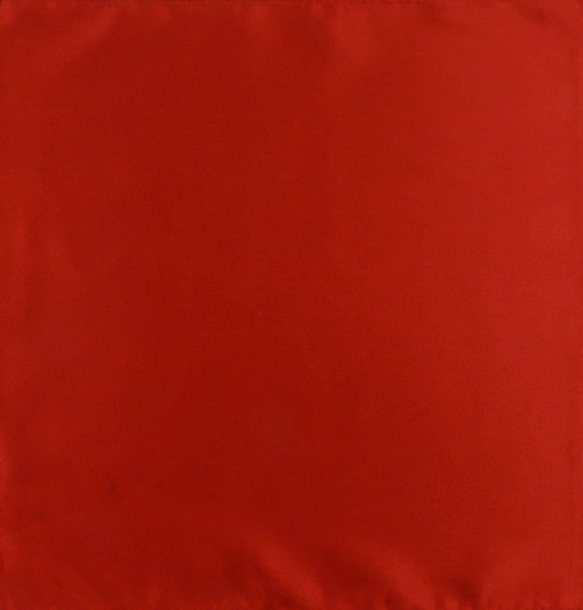 Pochette de Costume Terracotta Brun en Polyester
