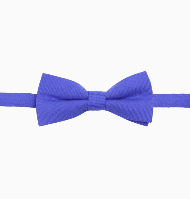 Noeud Papillon Bleu Royal Homme en Coton Côtelé
