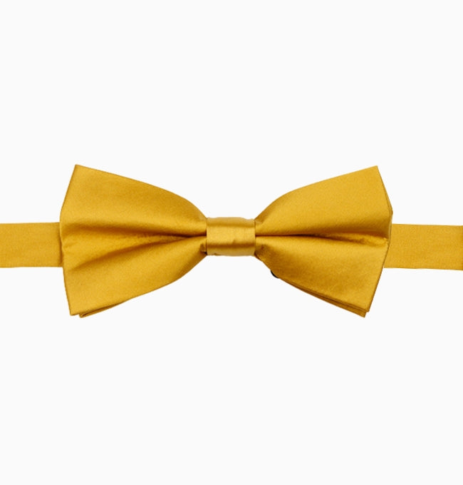 Noeud Papillon Doré Homme en Polyester