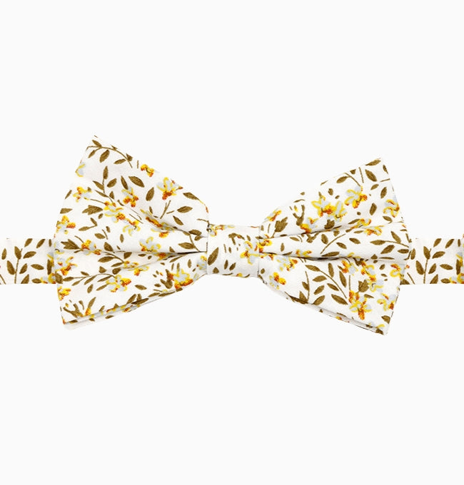 Noeud Papillon Liberty Jaune et Vert Jonquille Homme en Coton