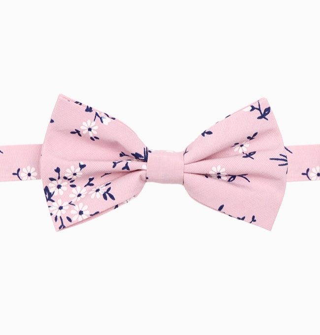 Noeud Papillon Liberty Rose Glaïeul Homme en Coton