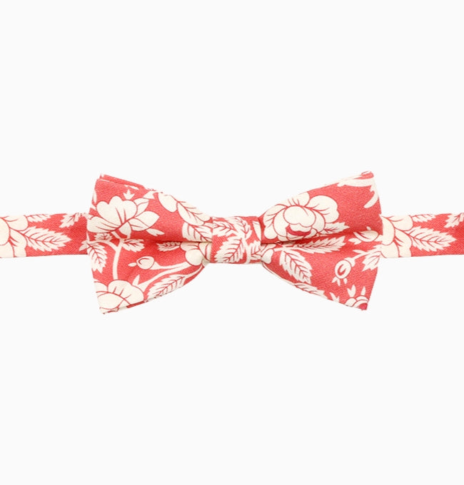 Noeud Papillon Liberty Terracotta Amaryllis Enfant en Coton