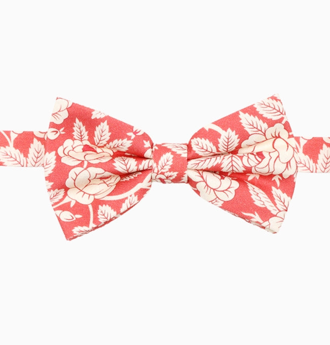 Noeud Papillon Liberty Terracotta Amaryllis Homme en Coton