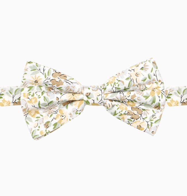Noeud Papillon Liberty Vert Eucalyptus Homme en Coton