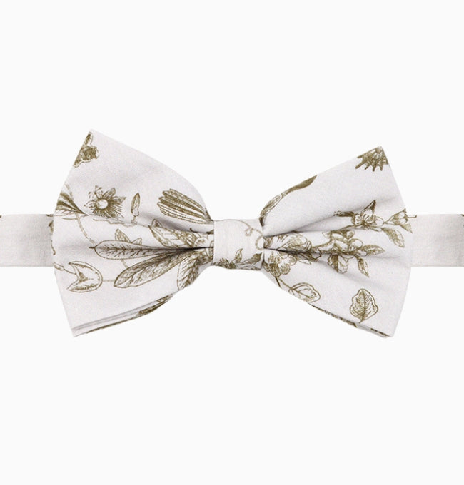 Noeud Papillon Liberty Vert Lysimaque Homme en Coton