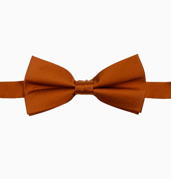 Noeud Papillon Marron Cannelle Homme en Polyester