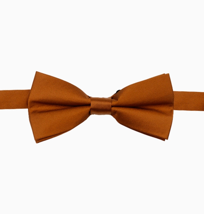 Noeud Papillon Marron Chocolat Homme en Polyester