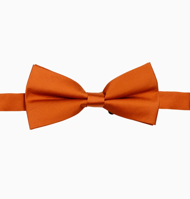 Noeud Papillon Terracotta Profond Homme en Polyester